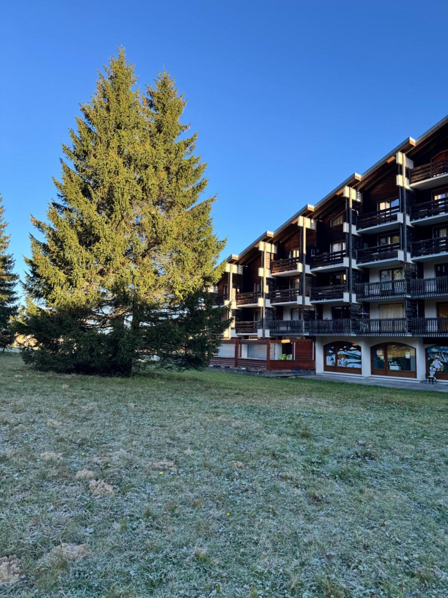 Superbe Studio De Montagne, Au Pied Des Pistes De Ski, Classe 3 Etoiles La Morte Exteriér fotografie